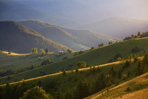 Jak unikać greenwashingu — transparentna komunikacja środowiskowa